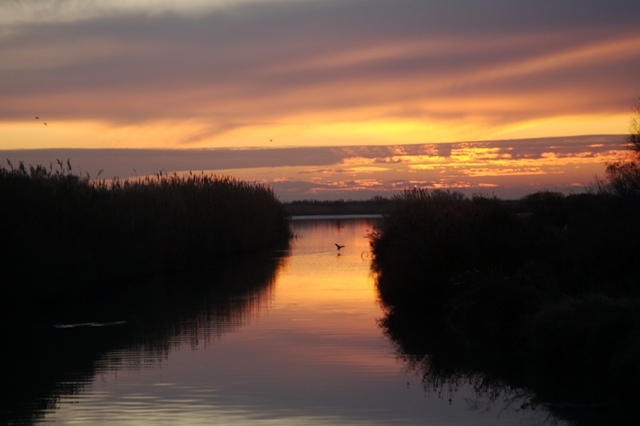 canalpaluncouchant