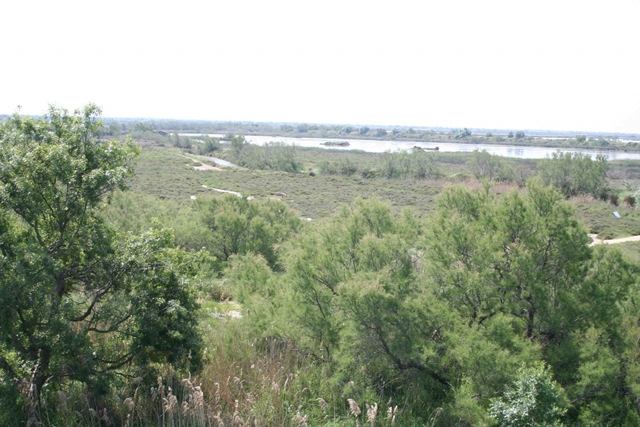 closargent2010