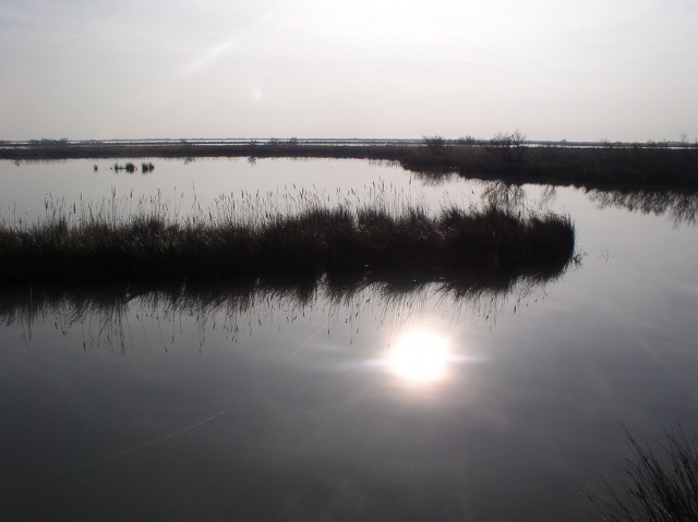 maraisaube