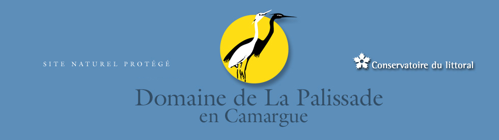 Domaine de la Palissade en Camargue